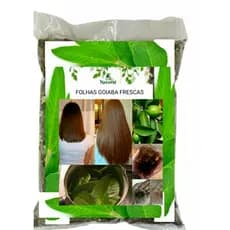 Folhas de GOIABA Frescas 100% Orgânicas Chá ou queda cabelo Aromaticas Saúde OFERTA