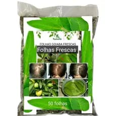 60 FOLHAS FRESCAS GOIABA  para fazer tônico capilar chás banhos  OFERTA