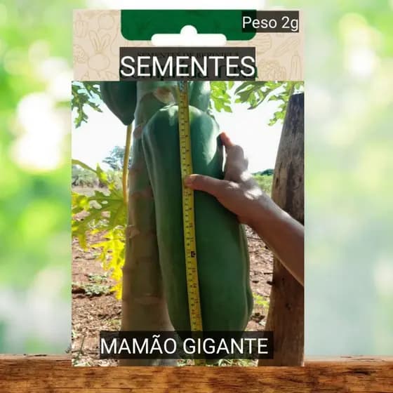 Sementes Mamão Gigante Vermelho Ate 8 kilos plante vaso Jardim OFERTA