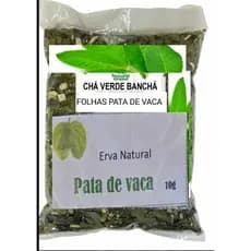 Pata-de-Vaca frescas Erva Medicinal Natural Chá de Pata-de-Vaca  Folhas novas