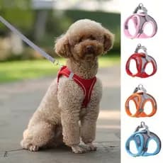 Kit Peitoral + Guia Malha de Nylon C/2 Fechos Refletiva Respirável Ajustável Gancho De Metal P/Cães e Gatos LR-0343