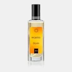 Perfume Masculino Importado Magnattus Alta Fixação Eau de Parfum Matéria-Prima Blz Pele