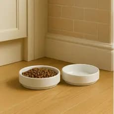 2 Comedouro Gato Porcelana 230ml – Tigela Pet Elegante p/ Ração | Pote de Comida Gato Louça