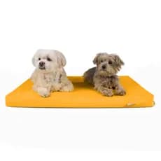 Colchonete para Cachorro Impermeável Caminha Pet com Zíper 80x60 Várias Cores