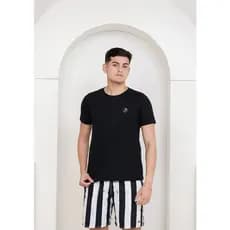 Blusa Lisa Básica Tshirt Camiseta Vários Modelos