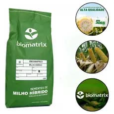 SEMENTE MILHO BIOMATRIX BM3066 PRO3 C4 2KG (AGRÍCOLA)