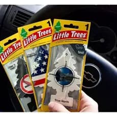 Little Trees Aromatizante Cheirinho Carro Vanilla Eua