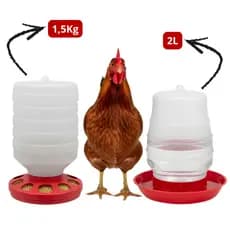 Kit Comedouro Frango 1,5kg e Bebedouro Aves 2L Pintinho Galinha Codornas