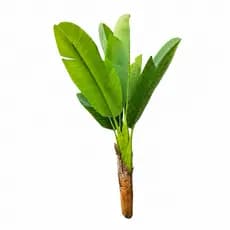 Planta Árvore Artificial Bananeira Linda Toque Real Sem Vaso Verde