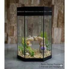 Aquário Beteira Octogonal Decorado peixe Betta 5,5l
