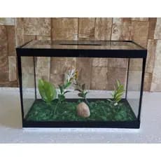 Aquario Beteira Para Peixe Betta ornamentação planta artificial Decorado