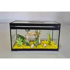 Aquário Beteira Retangular Decorada 4 Litros até a borda Peixe Betta Decorado Ornamentação Exclusiva