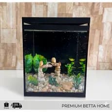 Aquário Beteira Tubular Cubo Decorada Peixe Betta 9 Litros (até a borda)