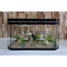 Aquário Beteira Oval 35cm Para Peixe Betta Decorado Ornamentação Exclusiva
