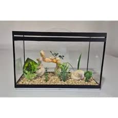 Aquário Beteira Retangular Decorada 8 Litros (até a borda) Peixe Betta ornamentação exclusiva