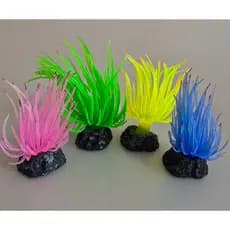 Enfeite Silicone Para Aquário e Ornamentos Anemona Long Tentacle Unidade