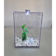 Aquário Beteira Acrílico com Led 3 Litros (até a borda) Decorada