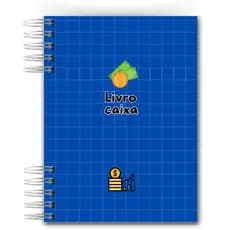 Controle Certeiro de Caixa Organizado Movimentação dia a dia