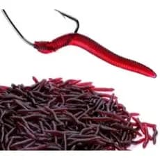 isca artificial minhoca kit 1 isca + 3 anzol para pesca de tilápia , tucunaré traíra dourado piau , isca bem realista ,