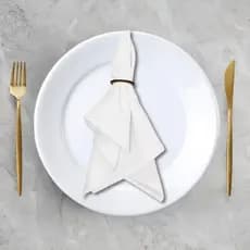 Kit Guardanapo De Tecido Com 12 Peças Avulso Liso Mesa Posta, Jantar, Casamento, Festa, Natal e Decoração