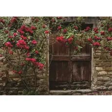 Fundo Fotográfico Muro ,Florl  ,Dia da Mães ,2.50 X 3 mtr em Tecido -Ensaio fotográfico