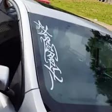 Adesivo Xerecrazy vinil adesivo Carro rebaixado 48cm largura branco