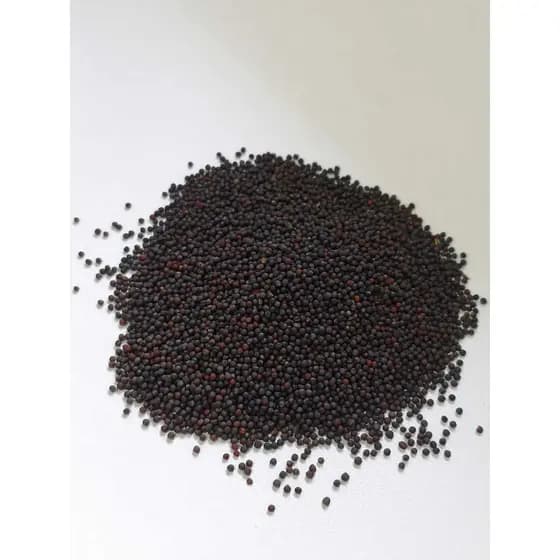 Semente de Colza Premium para Pássaros Nutrigrão - 500g
