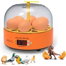 Mini Chocadeira Incubadora Ovos Galinha Pato Semi Automática Lorben