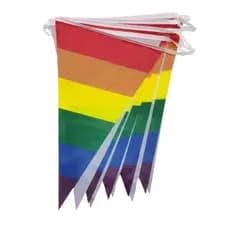 Cordão De Bandeiras Lgbt P/ Decoração Arco Iris Cores Vivas 6m 24 banderinhas