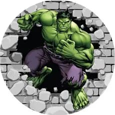 Painel Festa Heróis Hulk Redondo Tecido Sublimado 50x50