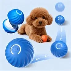 Bolinha Eletrônica Para Cachorro Brincar Movimento Automatico Recarregavel USB
