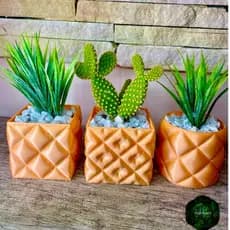 Decoração Kit com 3 Vasos Cachepot para suculentas em impressão 3D
