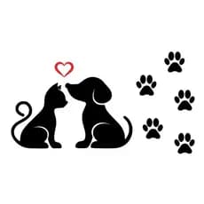 Adesivo Gato Cachorro Fofo + 5 Patinhas Para Carro Moto - Envio Já