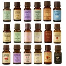 Essências Premium 15ml Alta Fixação Base Óleo - p/ Umidificador Difusor Sabonete Vela a Pronta Entrega