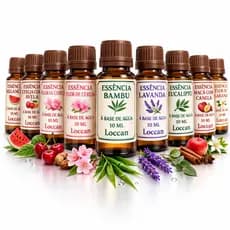 Super Kit 10 Essências Para Umidificador Aromatizador e Difusor Elétrico 15ml
