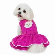 Roupa Pet Vestido de tricoline para  cachorro cães
