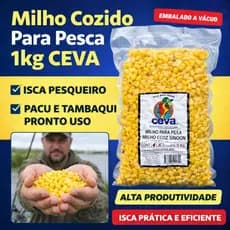 Isca Milho Verde Cozido Para Pesca Ceva 1kg A Vácuo Tilápia Piapara Pacu Tambaqui Piau Piauçu Carpa