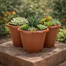 Kit 3 Vasos Pétalas Resistente 8 Litros Empilhável Para Plantas Temperos Horta Jardim Suculentas