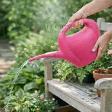 Regador Bico Fino 2 Litros Bicudo Para Cultivar Bonsai Flores Plantas Orquideas