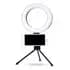 Ring Light Led Mesa Iluminador Pequena Tripé 6 Polegada Estrutura Preto Luz Branco-quente 110V/220V