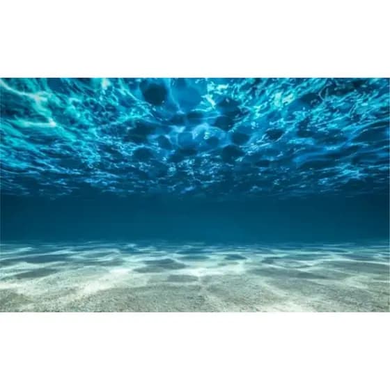Adesivo Aquário Fundo Do Mar Decoração 50cm altura x 70 cm comprimento Água