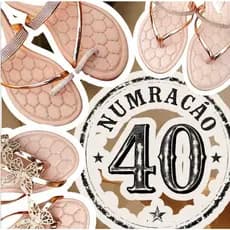 Sandália Feminina Rasteirinha  Numeração 40