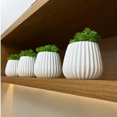Kit 4 Unidades Vaso decorativo de gesso texturizado para Suculentas, Cactus e outras plantinhas