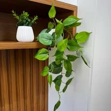 Kit 2 Vasos Decorativos com Plantas Artificiais | Jiboia Pendente Realista LISA 60cm + Folhagem Compacta