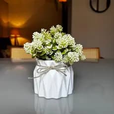 Vaso Suculenta Artificial Sedum Alba Toque Natural e Elegante