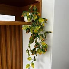 Vaso Decorado com Pendente Folhagem Artificial 60cm - Croton Pétala