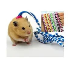 Coleira Peitoral Coleira Coelho Chinchila Rato Hamster Anão