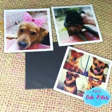 Foto imã 5x5 - Uv total, fotos para vida inteira! - Presentei quem você ama.