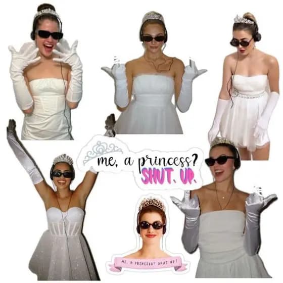 Fantasia Diário da Princesa 5 peças Vestido Adulto fantasia Carnaval, hallowenn, Fantasia personagem de filmeFeminino