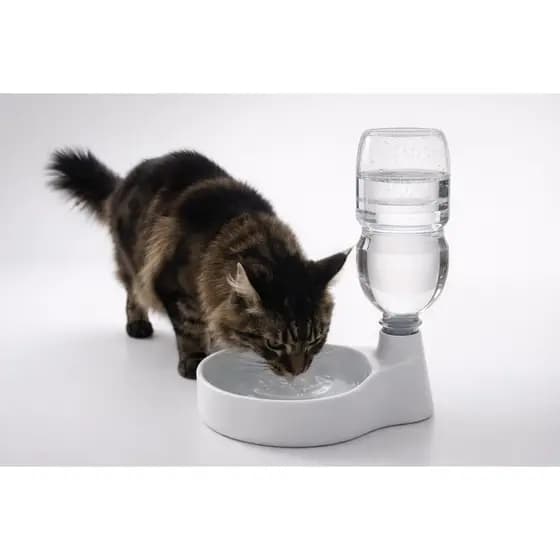 Bebedouro Pet Fonte Agua Gato Cachorro Petg